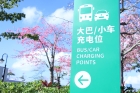 賞花充電兩不誤！橫琴首個公共停車場充電站落地花海長廊